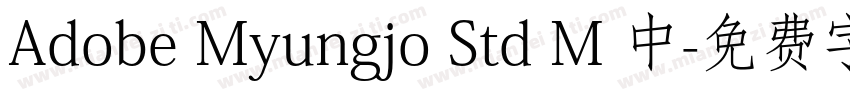 Adobe Myungjo Std M 中字体转换